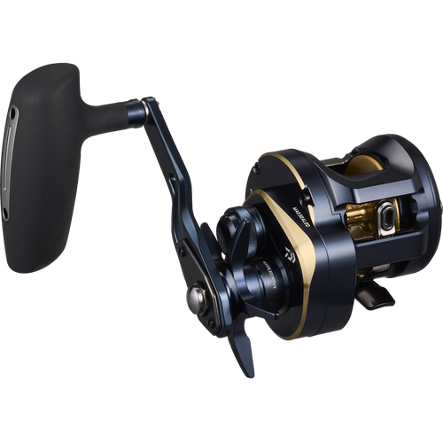 Daiwa 25 Saltiga 300 Overhead Reel