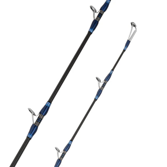 Daiwa 25 Seaborg Dendoh Game DG Rod-Rod-Daiwa-B63-5/6-Fishing Station