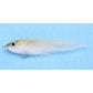 Enrico Puglisi Floating Minnow Fly-Lure - Saltwater Fly-Enrico Puglisi-Grey/White-Size #2/0-Fishing Station