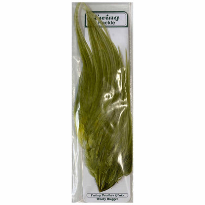 Ewing Wooly Bugger Patches-Fly Fishing - Fly Tying Material-Ewing Feather Birds USA-Olive-Fishing Station