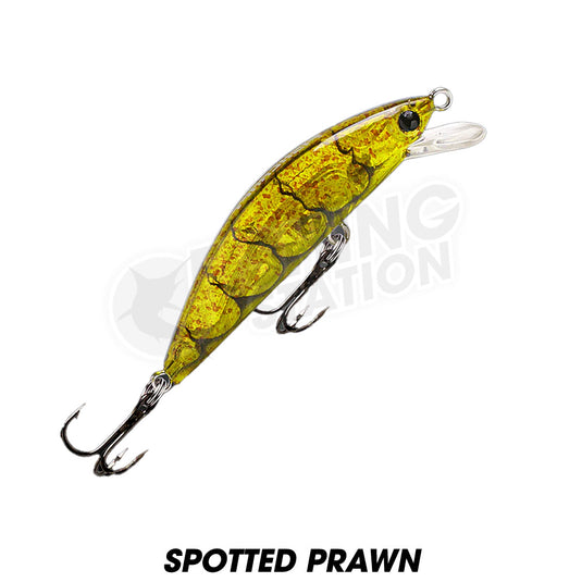 Fishcraft Fiesty 55 Minnow Hardbody Lure