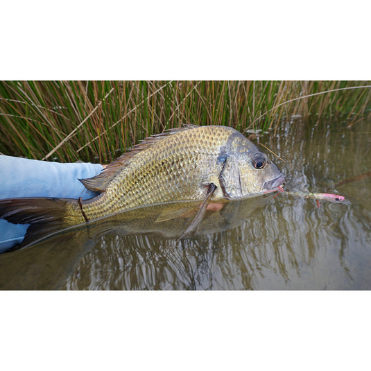 Fishing Station Bream Plastics Pack