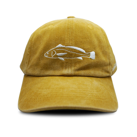 Fishing Station Dad Hat
