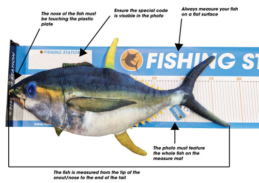 How to submit your entry