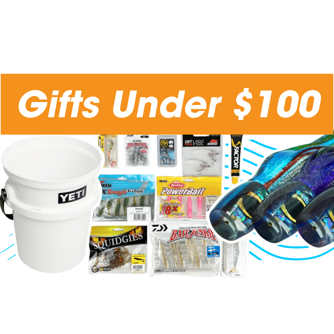GREAT UNDER $100 GIFTS!! — The Gift Trotter