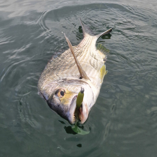 Fishing Station Bream & Whiting Bundle Pack