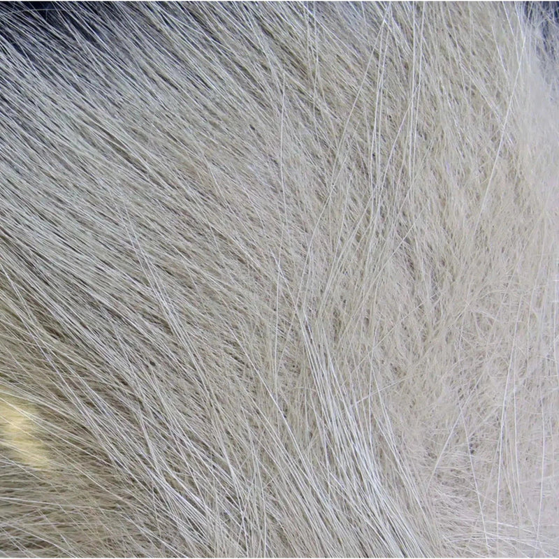 Load image into Gallery viewer, Hareline Arctic Fox Hair-Fly Fishing - Fly Tying Material-Hareline Dubbin LLC-#165 Gray-Fishing Station
