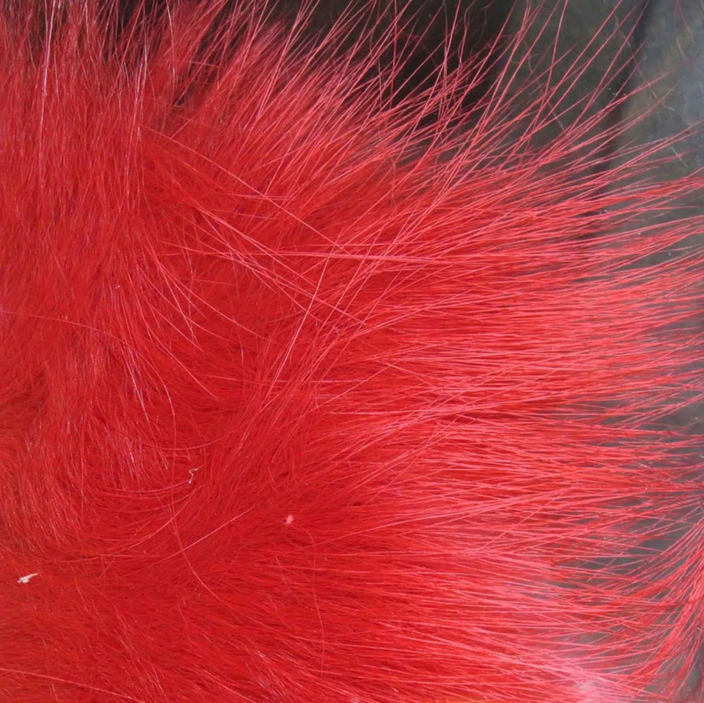 Hareline Arctic Fox Hair-Fly Fishing - Fly Tying Material-Hareline Dubbin LLC-#310 Red-Fishing Station
