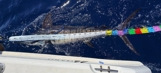 Offshore Pelagic Measure 3m