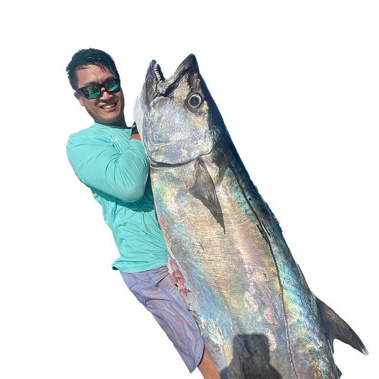 Jay_Fish