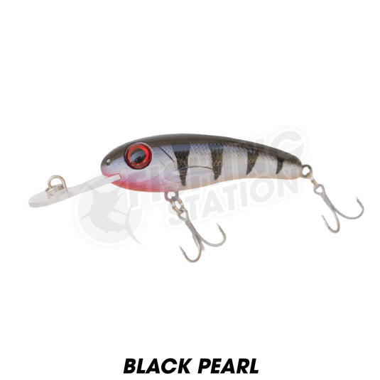 Silly Fish Mirage 55 Shallow Diver