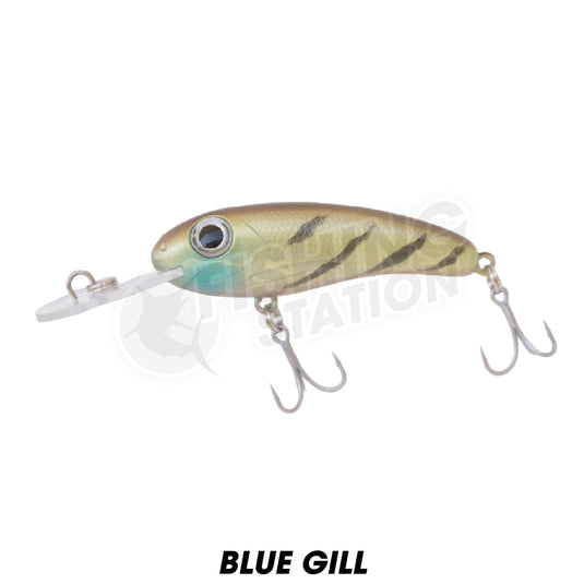 Silly Fish Mirage 55 Shallow Diver