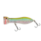 Nomad Chug Norris Auto Tune Light Tackle 72 FR-Lure - Poppers, Stickbaits & Pencils-Nomad-Aqua Ghost-Fishing Station