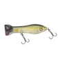 Nomad Chug Norris Auto Tune Light Tackle 72 FR-Lure - Poppers, Stickbaits & Pencils-Nomad-Ayu-Fishing Station