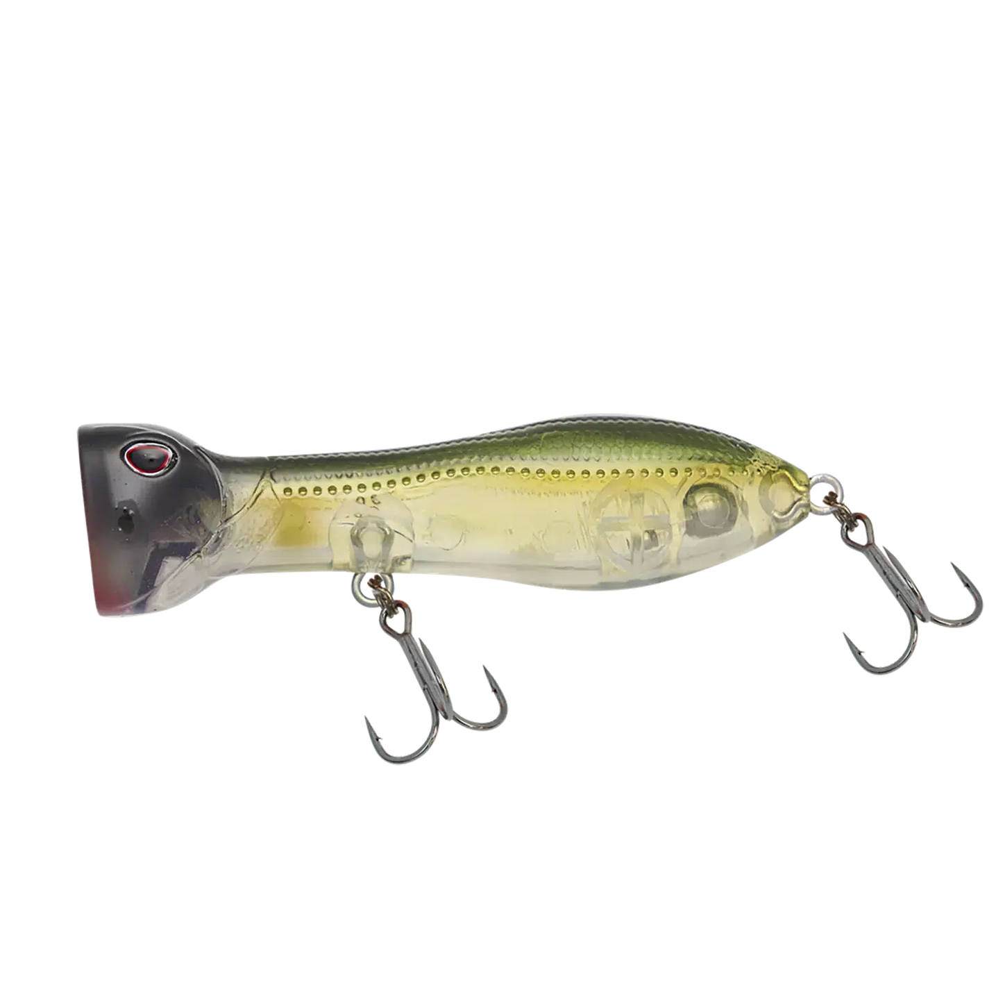 Nomad Chug Norris Auto Tune Light Tackle 72 FR-Lure - Poppers, Stickbaits & Pencils-Nomad-Ayu-Fishing Station