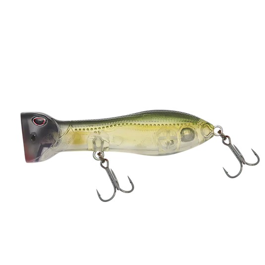 Nomad Chug Norris Auto Tune Light Tackle 72 FR-Lure - Poppers, Stickbaits & Pencils-Nomad-Ayu-Fishing Station