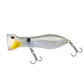 Nomad Chug Norris Auto Tune Light Tackle 72 FR-Lure - Poppers, Stickbaits & Pencils-Nomad-Holo Ghost Shad-Fishing Station