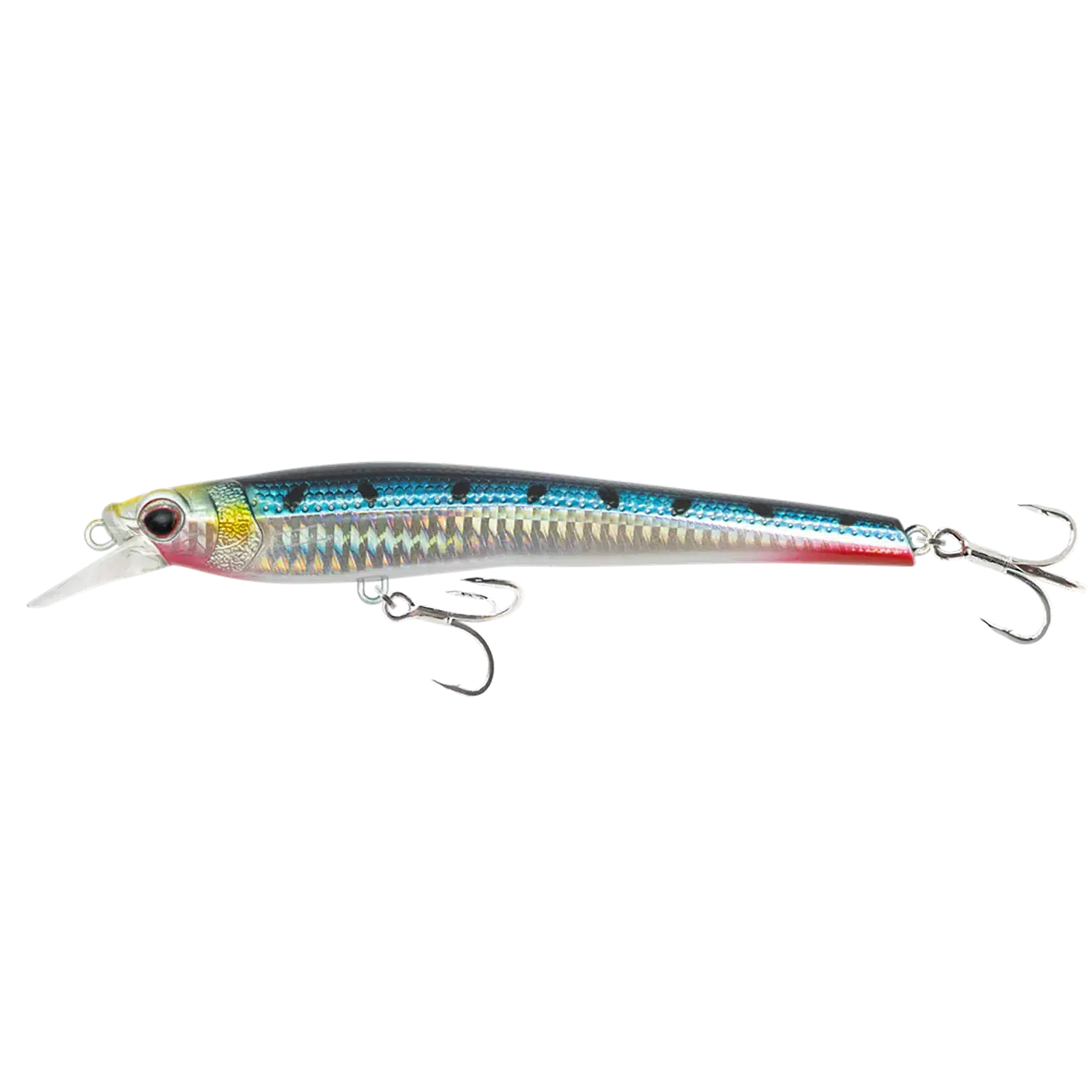 Nomad Shikari Float Hardbody Lure-Lure - Hardbody-Nomad-115mm-Sardine-Fishing Station