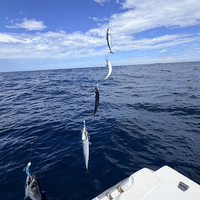 Load image into Gallery viewer, Offshore Slimey Jig - Baitfish Blue
