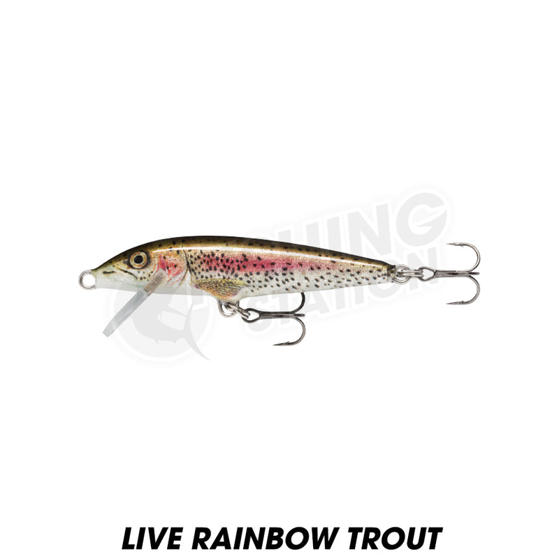 Load image into Gallery viewer, Rapala Original Floater
