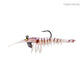 Samaki Live Shrimp
