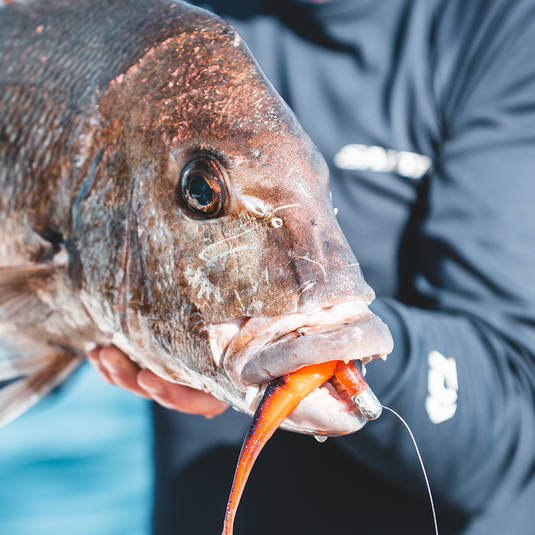 Daiwa Bait Junkies Snapper Bundle
