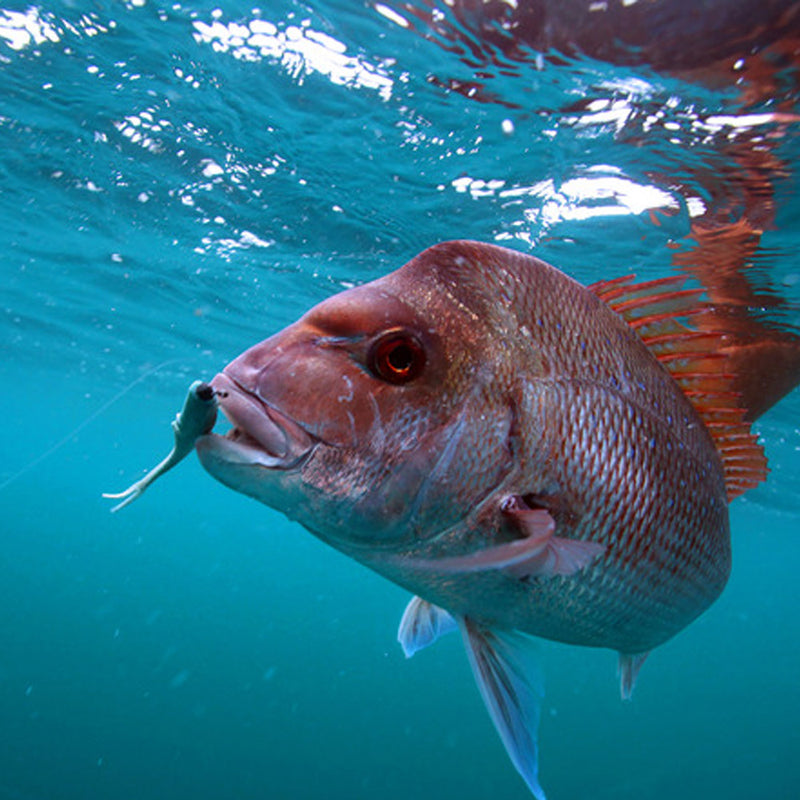 Load image into Gallery viewer, Fishing Station GULP Snapper Plastics Pack

