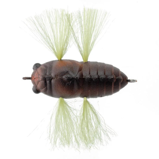 Tiemco Tiny Cicada Soft Shell Surface Lure-Lure - Small Surface-Tiemco-201-Fishing Station