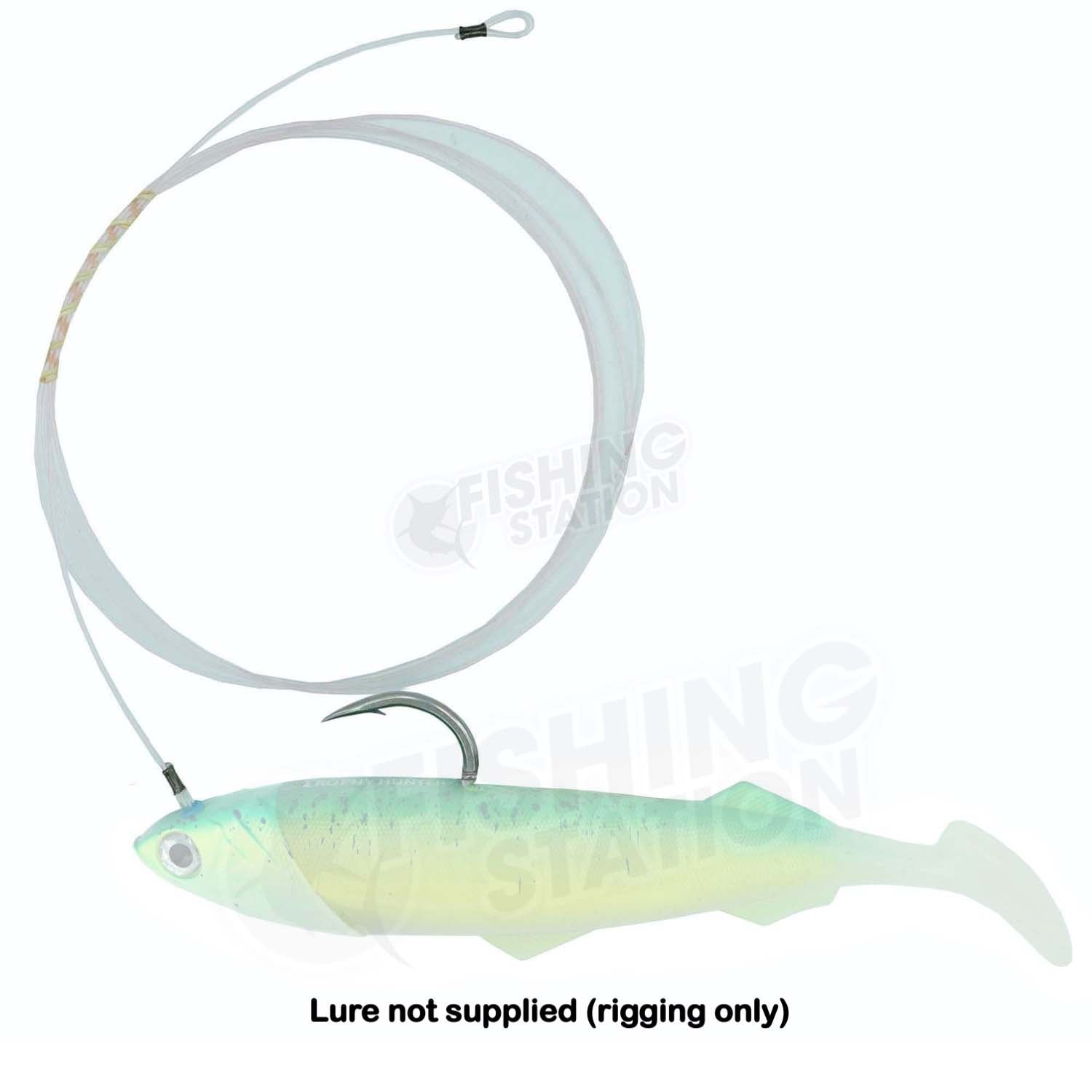 Single Hook Rig Trophy Hunter Profidgie Pre-Rigged Single Hook Rig + Leader – Fishing ...