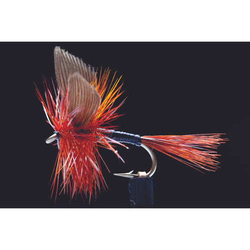 Twighlight Beauty Freshwater Fly-Lure - Freshwater Fly-Manic Tackle Project-