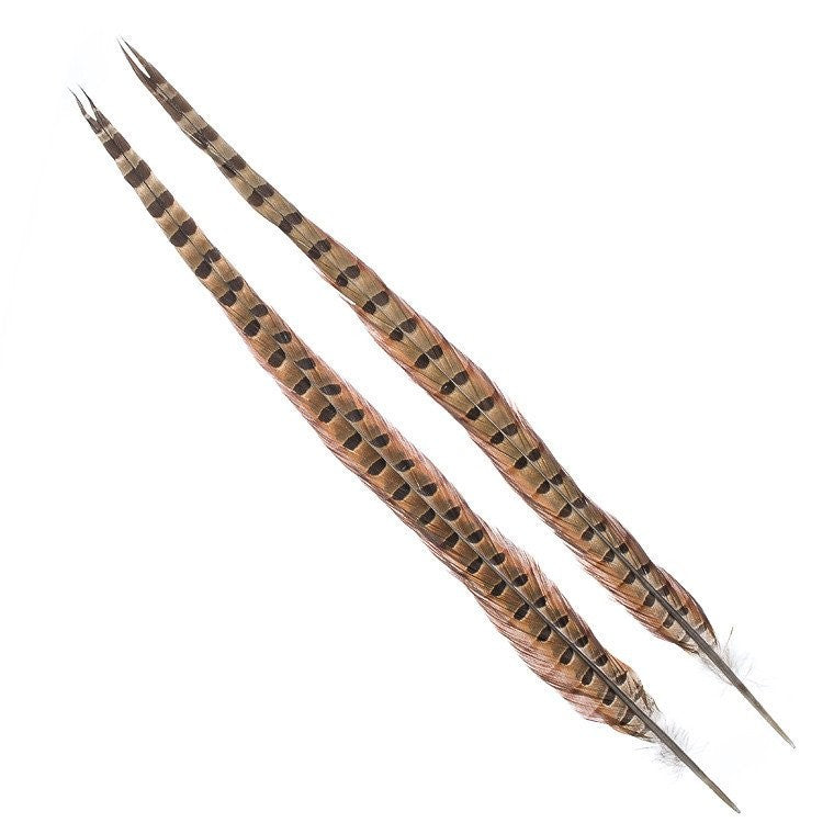 Wapsi Ringneck Tail-Fly Fishing - Fly Tying Material-Wapsi-Natural-Fishing Station