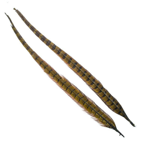 Wapsi Ringneck Tail-Fly Fishing - Fly Tying Material-Wapsi-Olive-Fishing Station