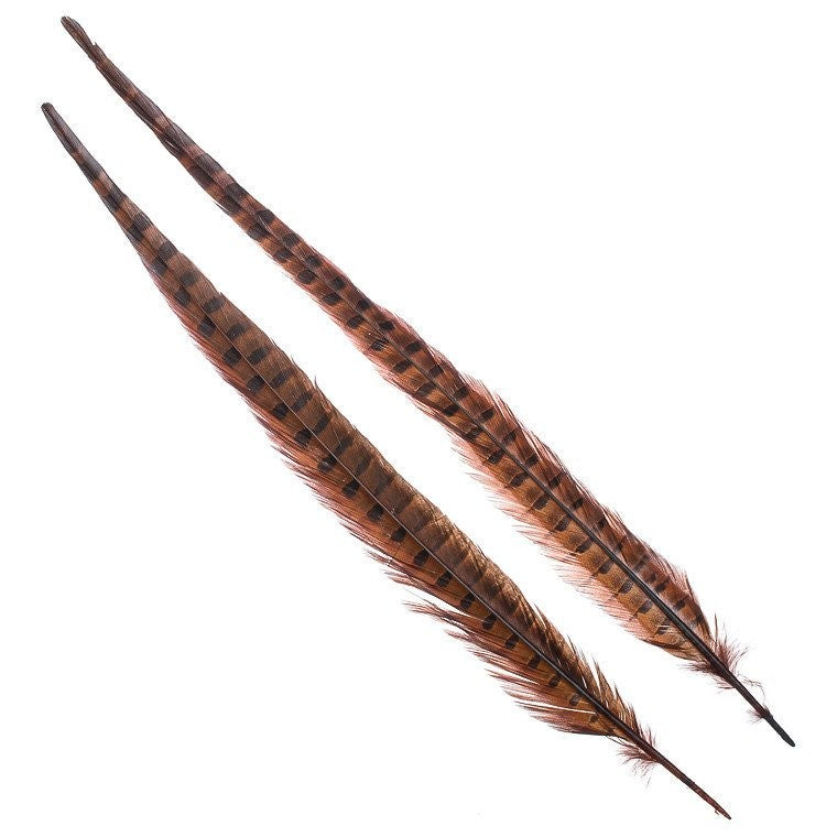 Wapsi Ringneck Tail-Fly Fishing - Fly Tying Material-Wapsi-Rusty Brown-Fishing Station