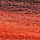 Wapsi Unique Hair-Fly Fishing - Fly Tying Material-Wapsi-Orange-Fishing Station