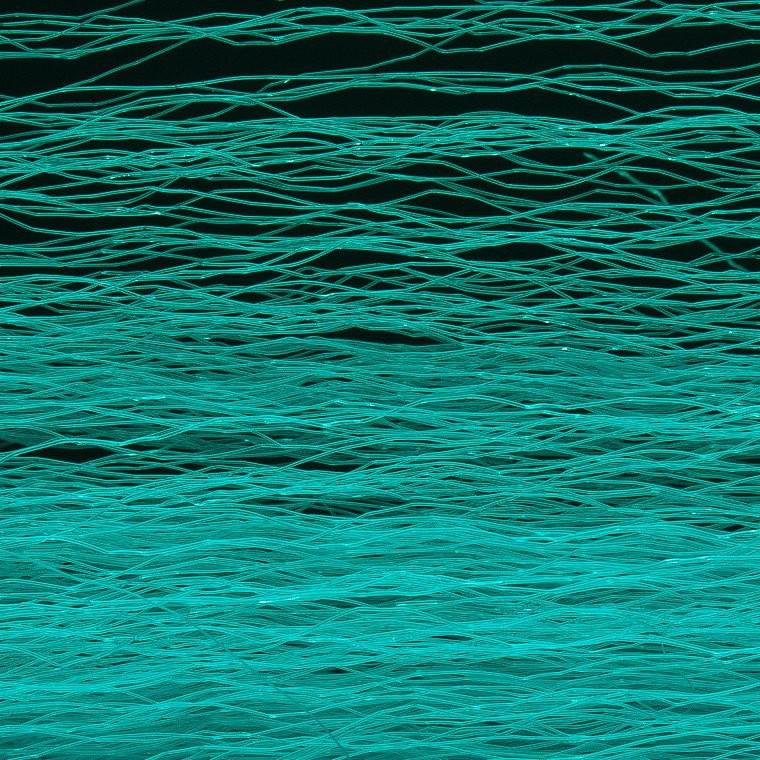 Load image into Gallery viewer, Wapsi Unique Hair-Fly Fishing - Fly Tying Material-Wapsi-Peacock-Fishing Station
