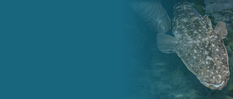 ESTUARY LURE WORKSHOP