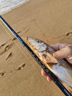 ROD AND REEL