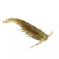 Z-Man PrawnZ-Lure - Soft Plastic-Z-Man-Houdini-2.5"-Fishing Station