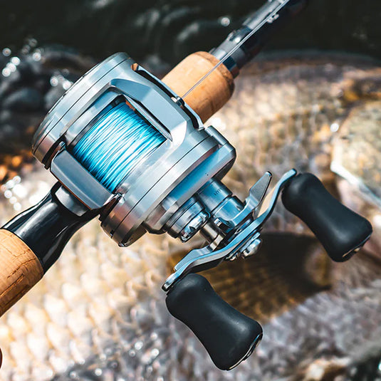 Daiwa 26 Ryoga Baitcast Reel