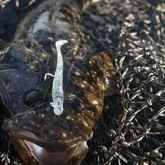 Glasseye HIKARI HEADS Jigheads