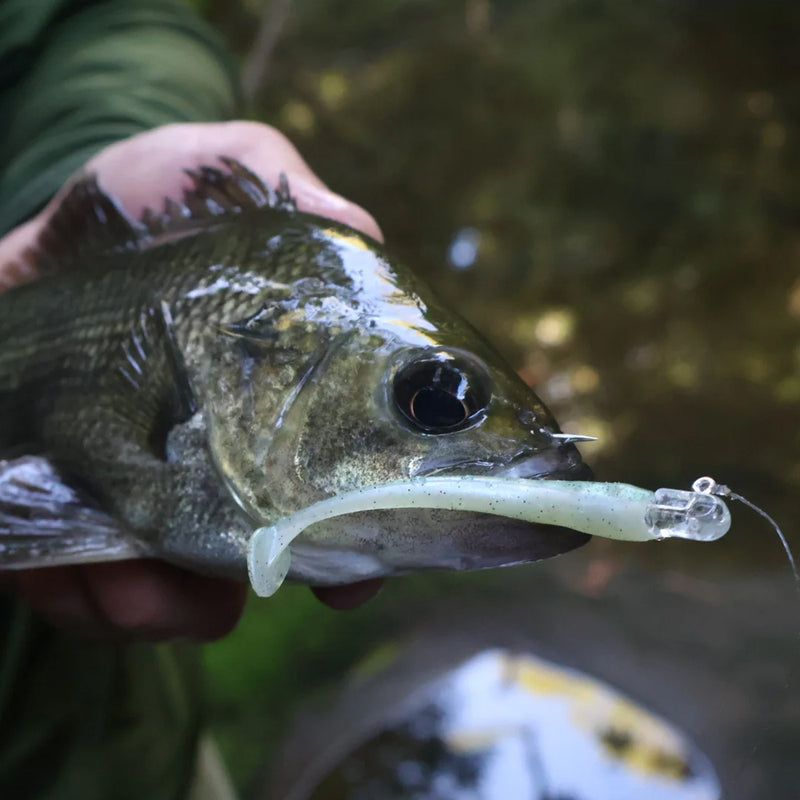 Load image into Gallery viewer, Glasseye HIKARI HEADS Jigheads
