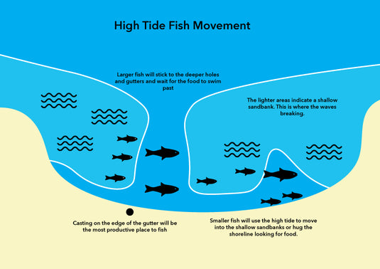 TIME AND TIDE