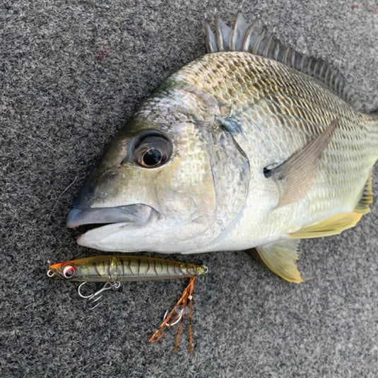 SURFACE LURES