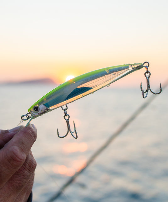 NEW MALOSI STAPLE SERIES