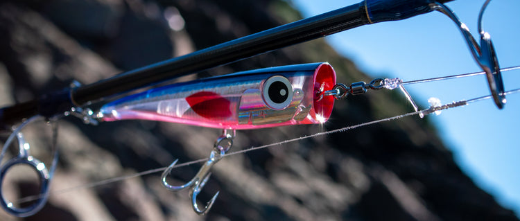 NEW MALOSI STAPLE SERIES