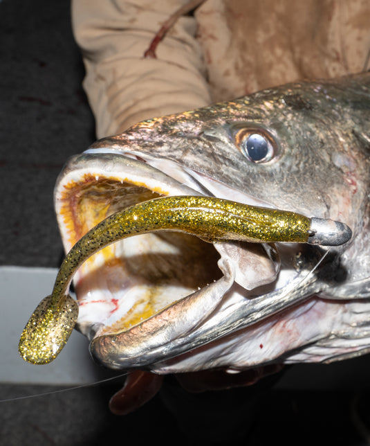 LURE FISHING WORKSHOP