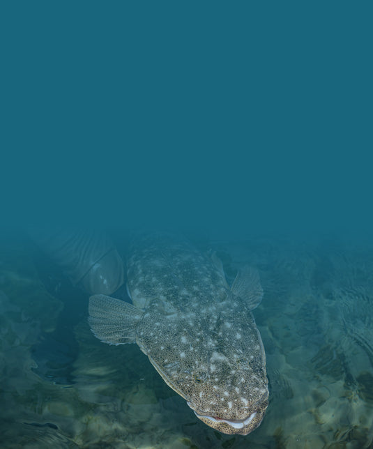 ESTUARY LURE WORKSHOP